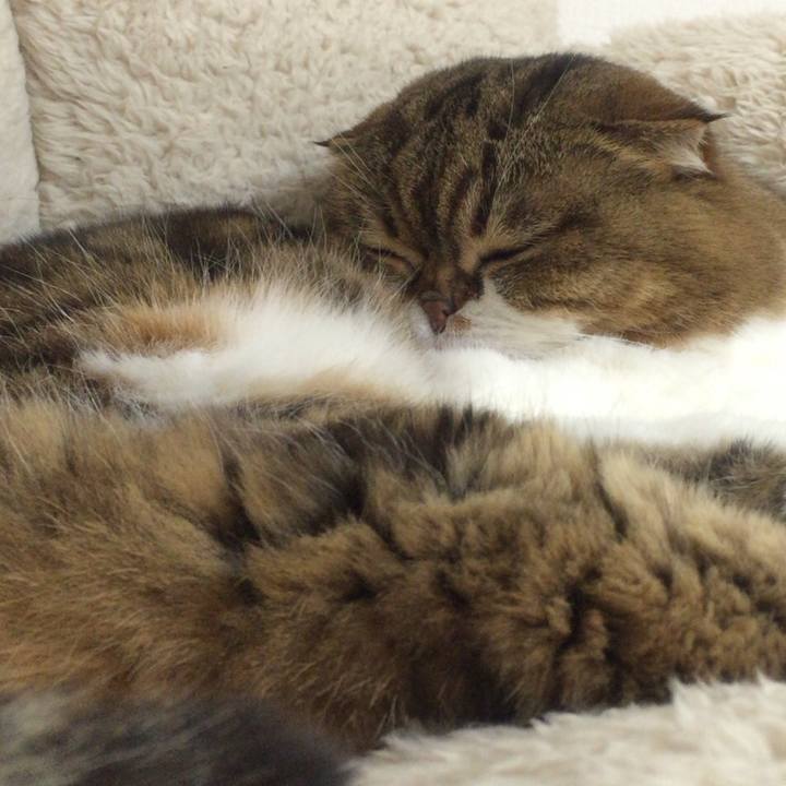 04fdb7fa b286 407a b0c7 bfe571842513