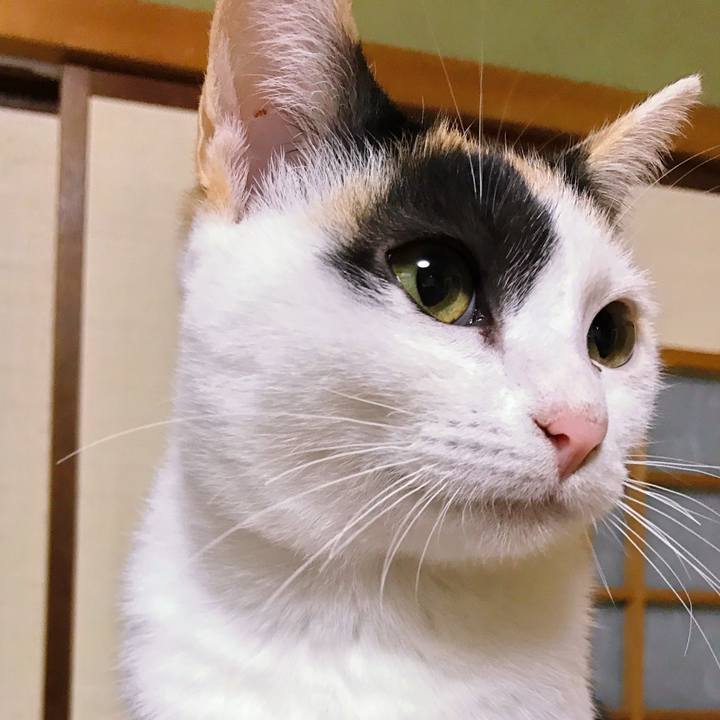 04fdf507 997a 419e 959e f7b0e6184506