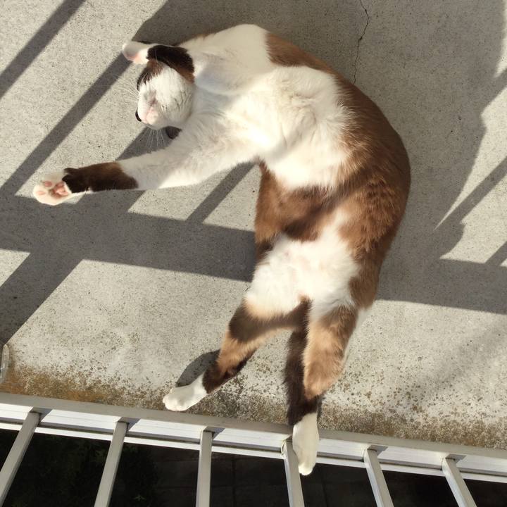 04fe7212 af95 4a82 a41e 5e003e637239