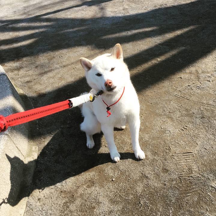 05001d24 924b 4d74 9d09 033c94c20d4e