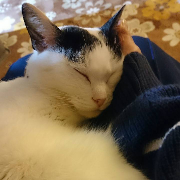 05001f92 08ca 4973 84ac ff6c0d809faf