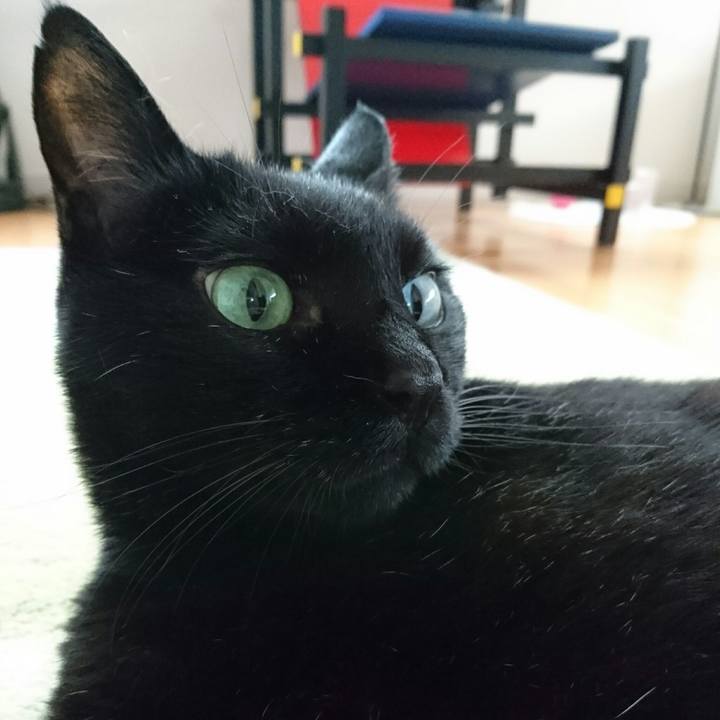 05005657 1e27 4ac0 9684 9f8355004b2c