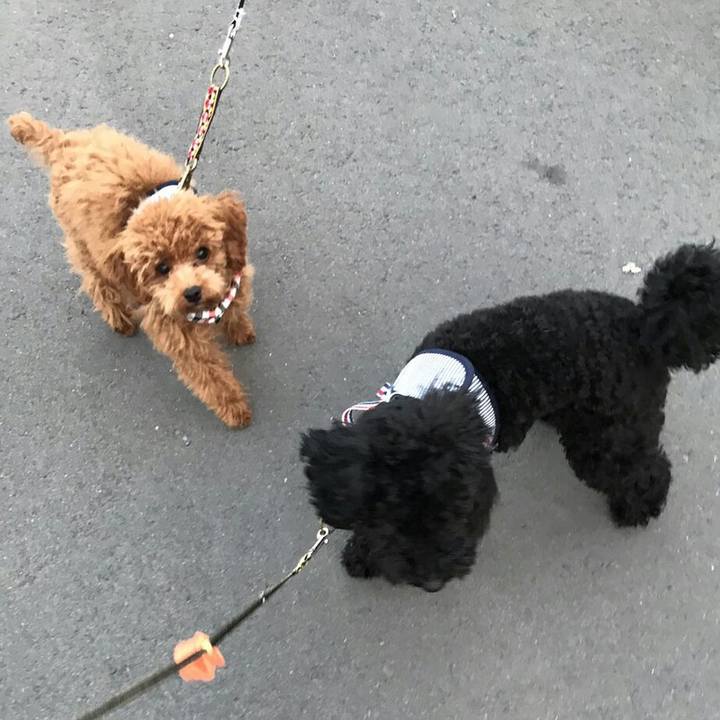 0500a5d5 81b7 479d 9b28 bd6eb0ce3578