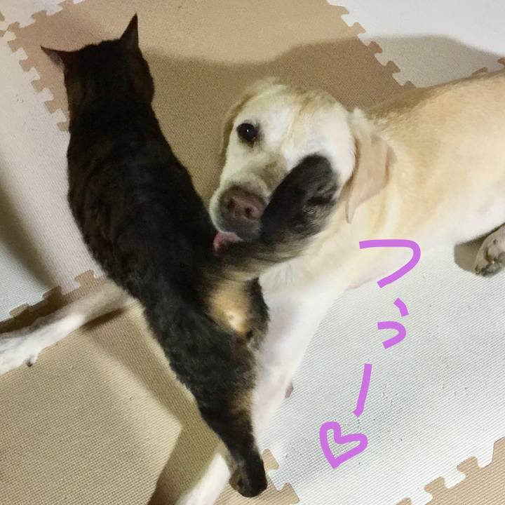 0500bb3e f4d7 4b97 bd39 b4bef0ec2b01