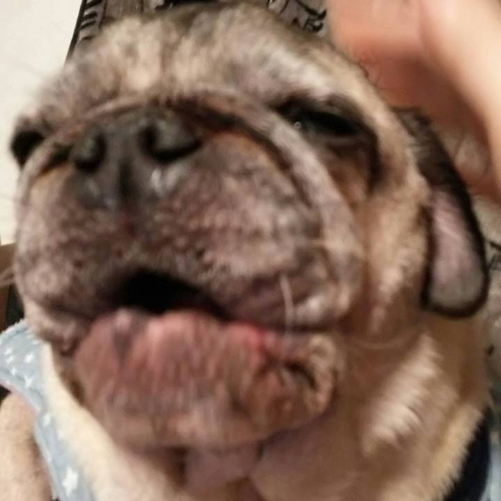 0500c23b 943d 488b 896e e3f59277bfce