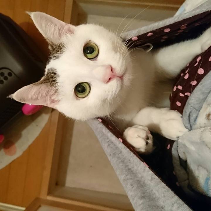 0500c59a b4d5 40f7 8965 6654bffbe8e9