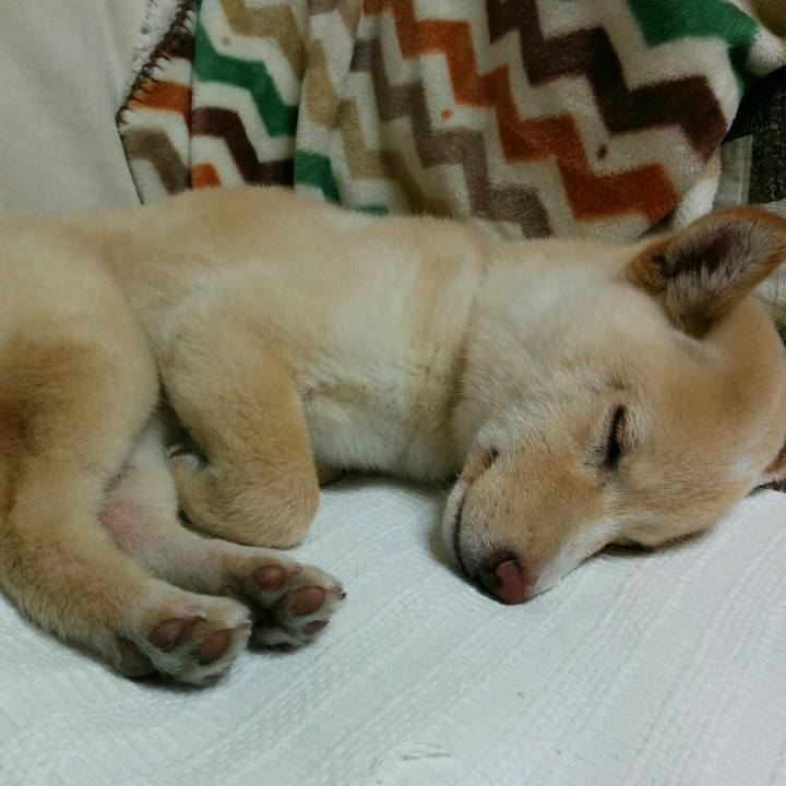 05017d07 4970 4c57 a41b 7a85299e9fc2