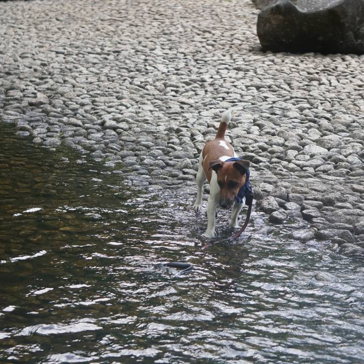 0501b33e f875 49a3 88c9 5e4eda2a053b