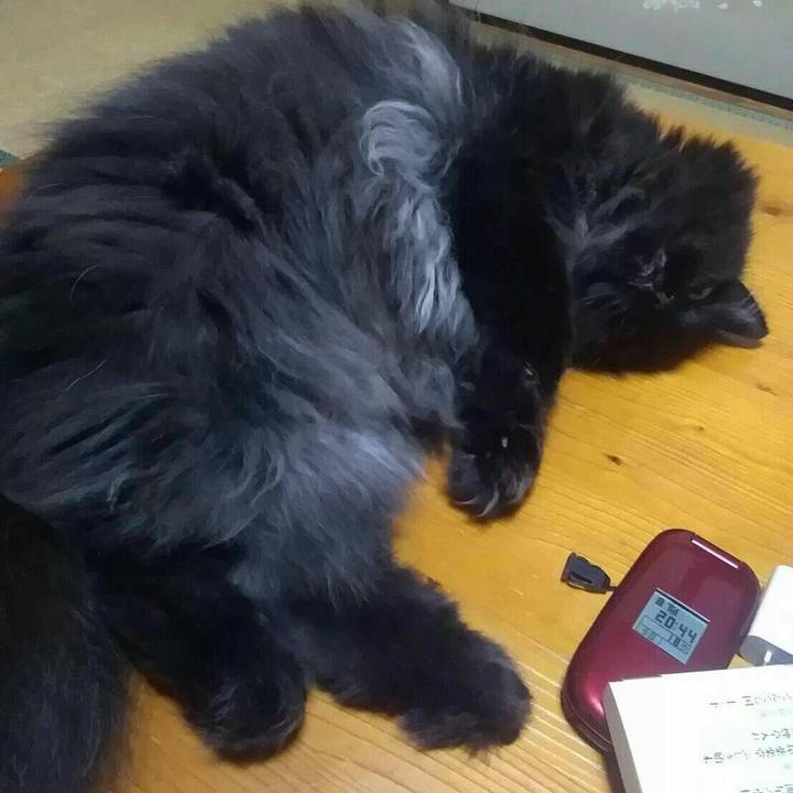 0501baeb 3345 48d5 85c8 92e44fb958b5