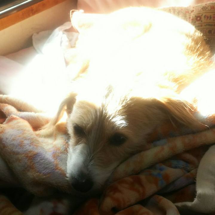 050219a4 0b2f 4f88 b98f 069a1798503e