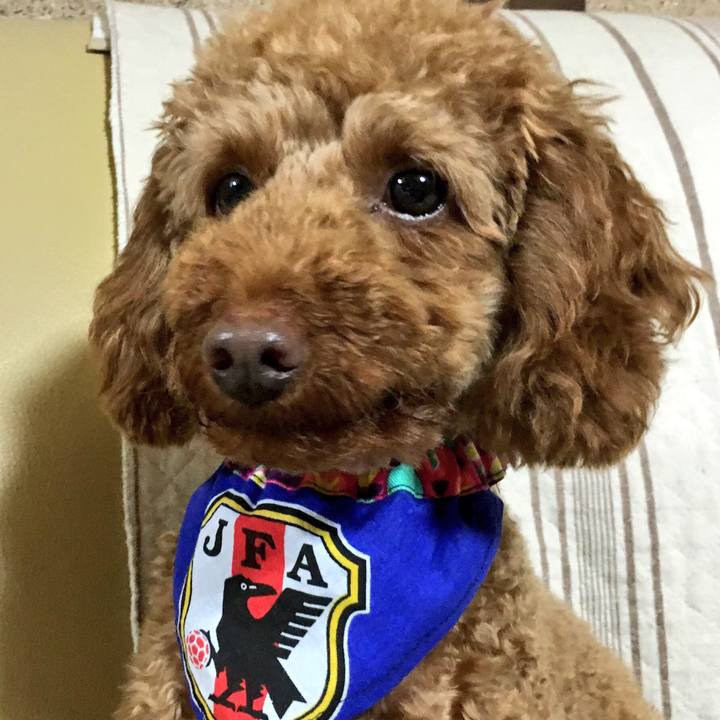 05029170 2bee 4ff6 9a32 c39ee60de20e