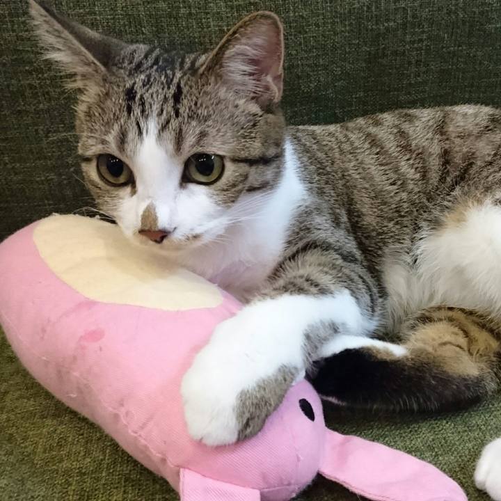 0502b1ac 91e2 49c2 8d60 8b852db7365f