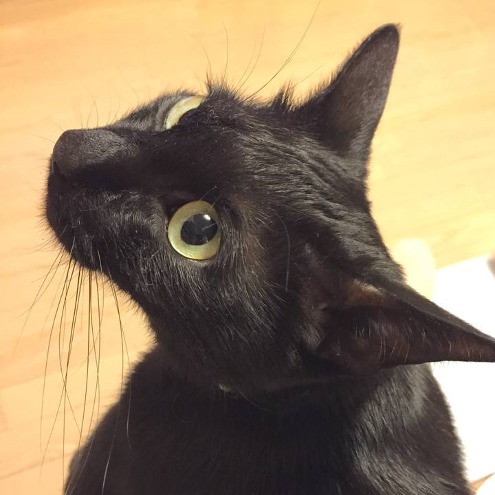 0503e240 34c1 4a53 9fc1 7f2055011a8d