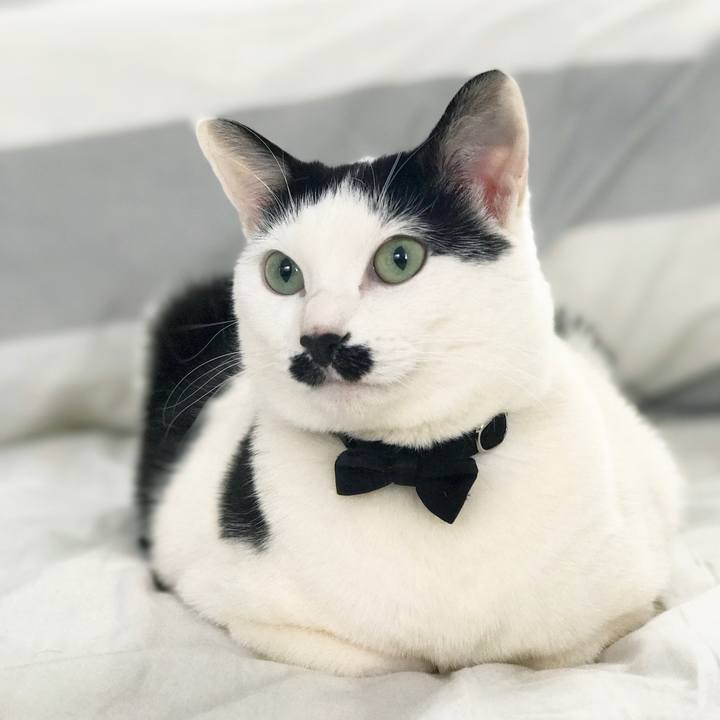 0504021e 7d50 4fc9 8248 627544d76293