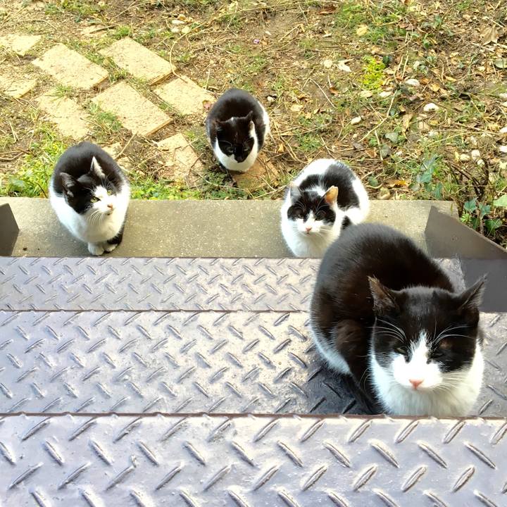 050421d2 182c 41cc 8a9a f99d5384c3ff