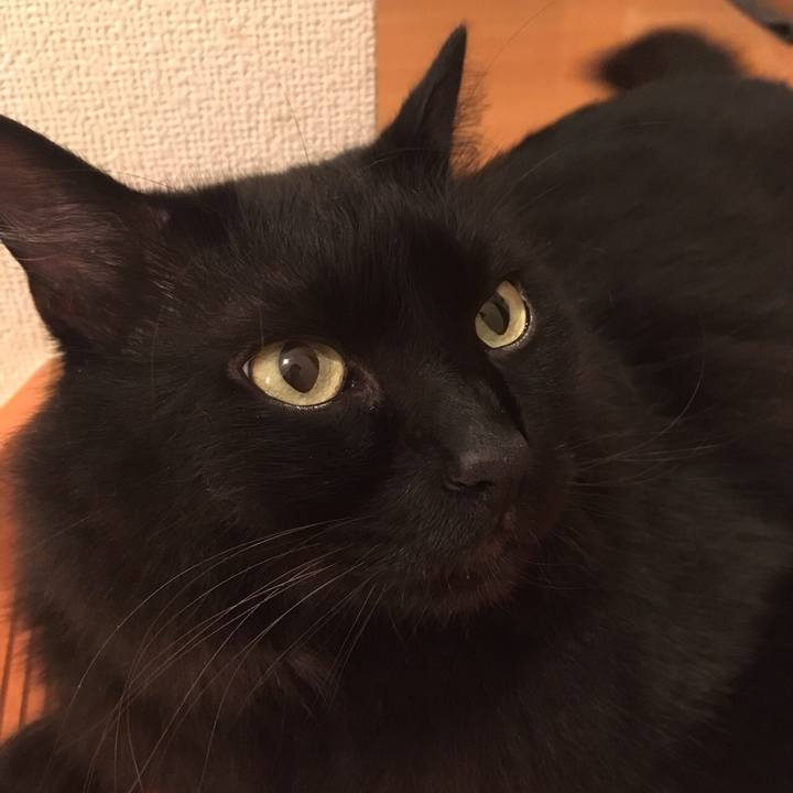 05043e33 7c71 48e1 8d95 5e4fdd71575c