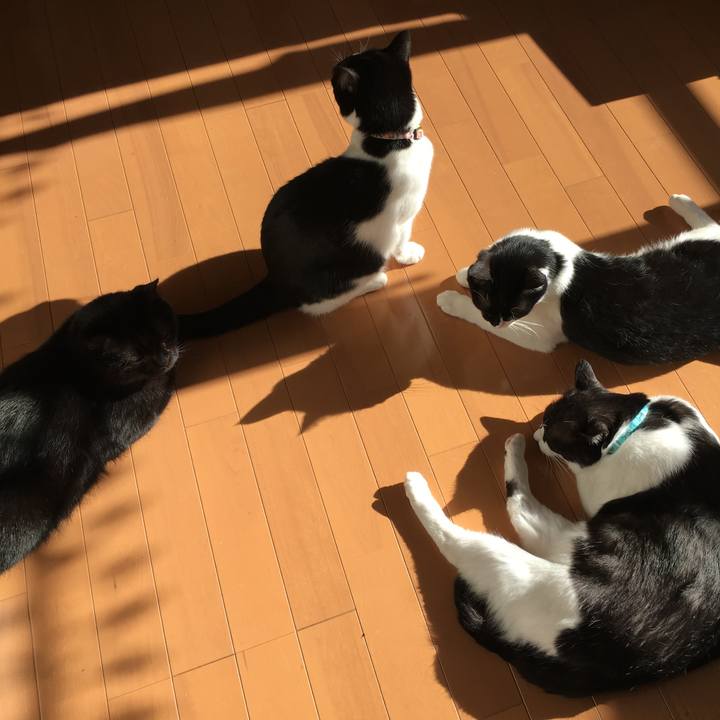 050479eb 9c06 4a3d 89f6 77d27440ec64