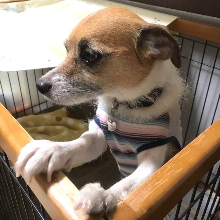 05051db3 2b6e 4b6c b670 3a4f6541a515