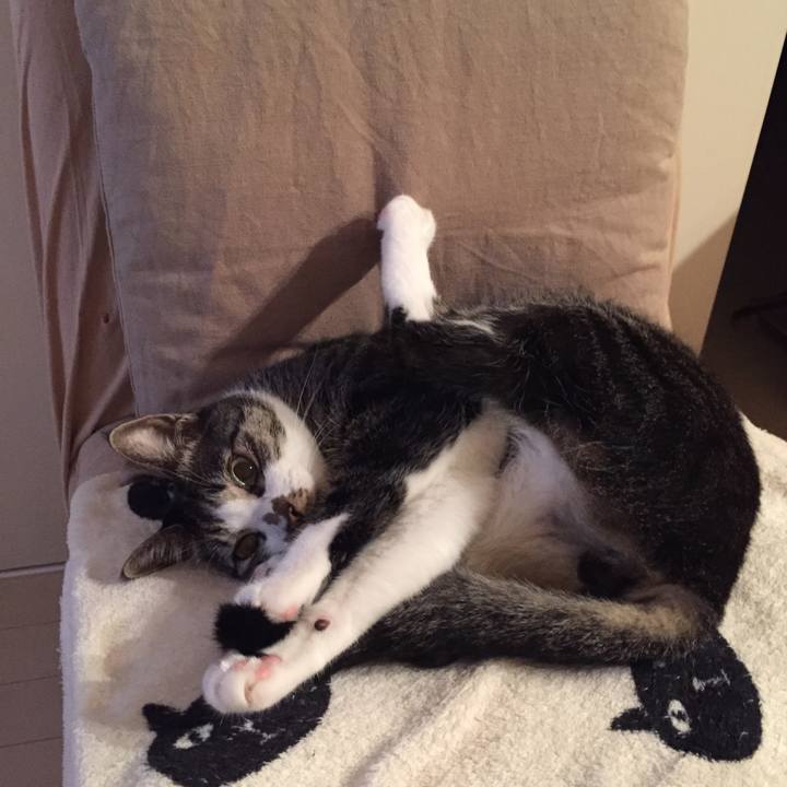 05054d6f e015 4c16 927c c9cc9f37c6ad