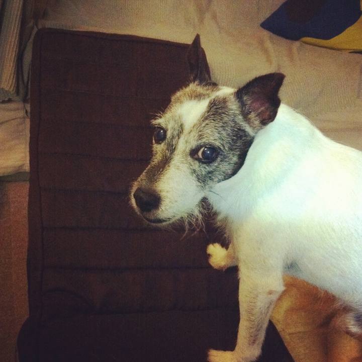 050595ca 4679 4d1f a6e6 ca94d914f052