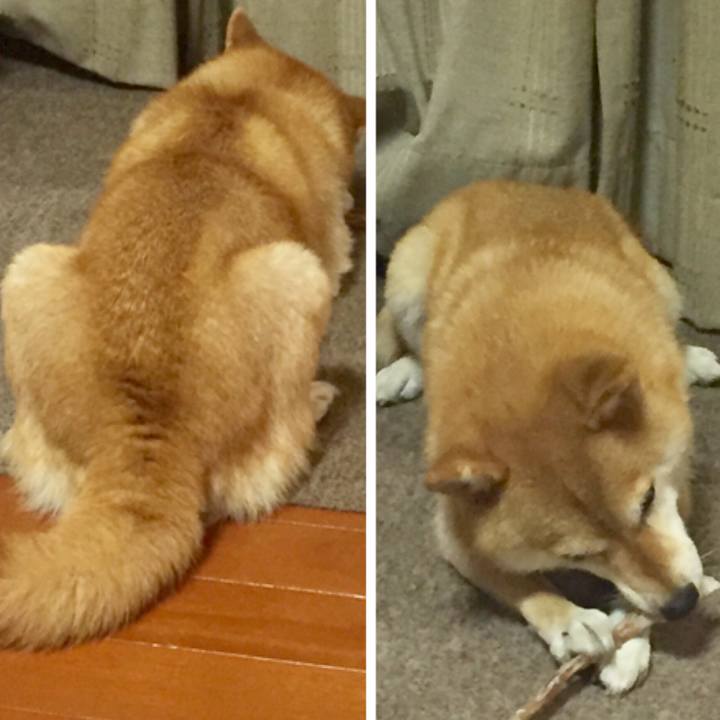 0506334b aac5 432c af72 832629014fea