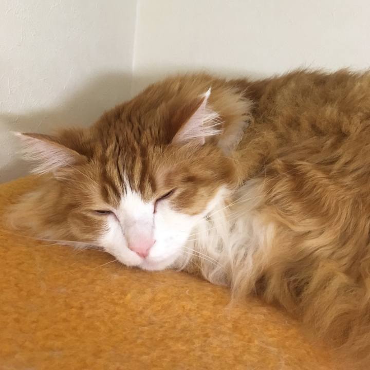 05071694 63c8 42cd 8426 29701bd53b0d