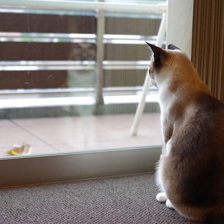 0507c59c 831c 465e a2bb 4adfe2ce380f