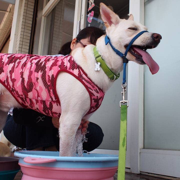 050818a3 187a 4aed 952f bf2cd16c3c89