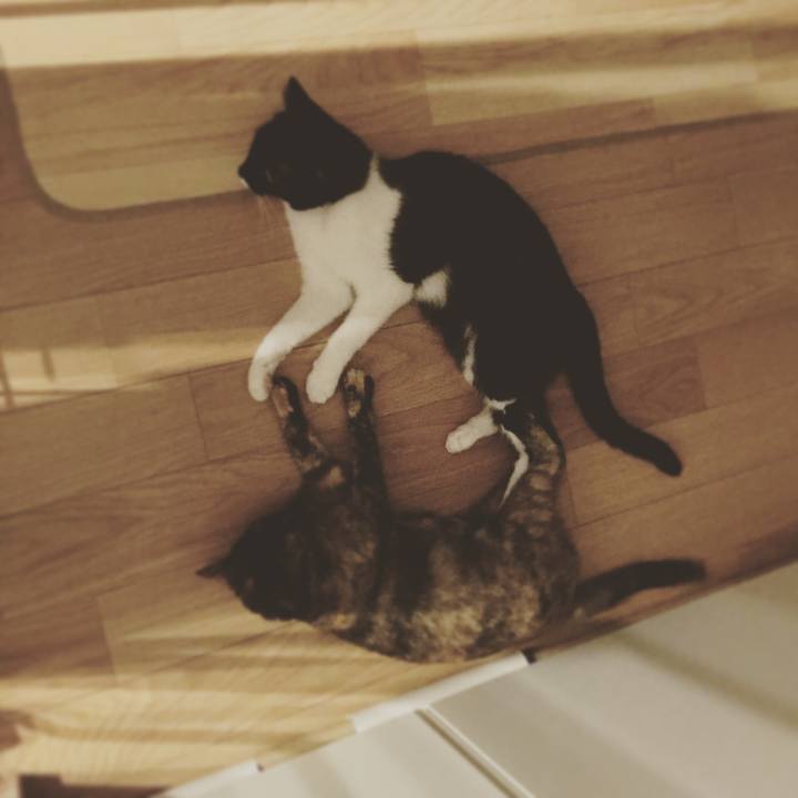 0508574e d8bb 4d20 93d5 c20c07f91e66