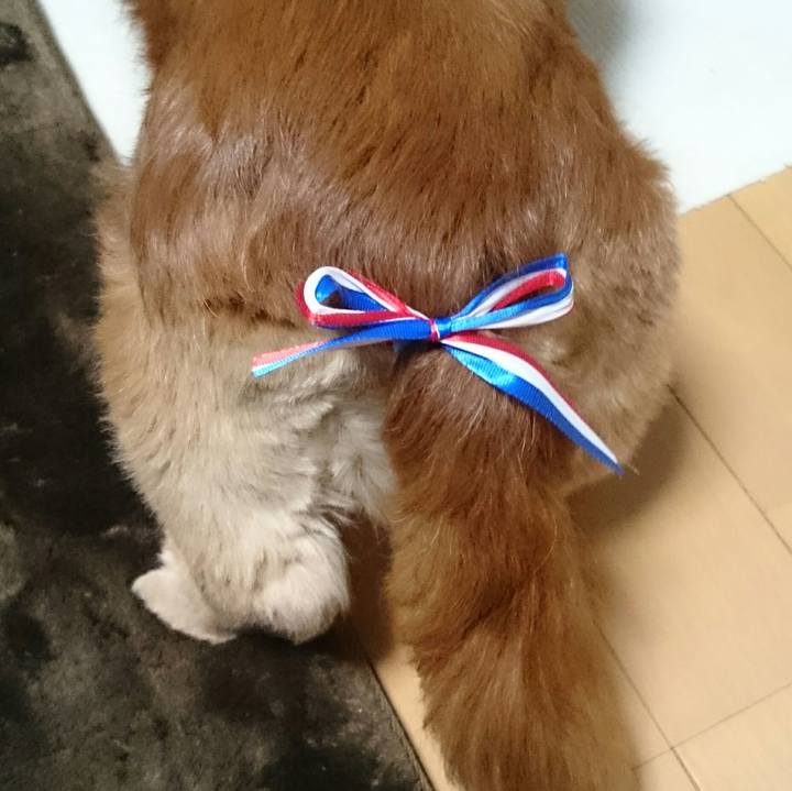 05089013 d6cf 4e64 bdd3 74498afa3003