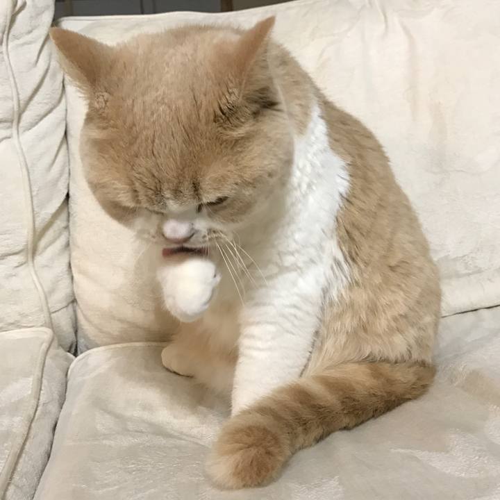 0508b3b1 57b5 445b 8808 bfdda4c61e00