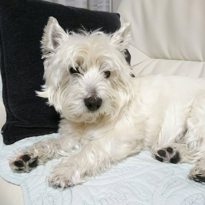 0508be02 a160 47b6 9ce9 a1e6f21b51d4