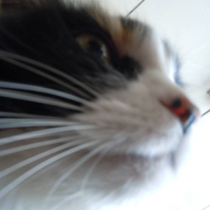 05091af1 5841 4369 8967 c78a401ef817