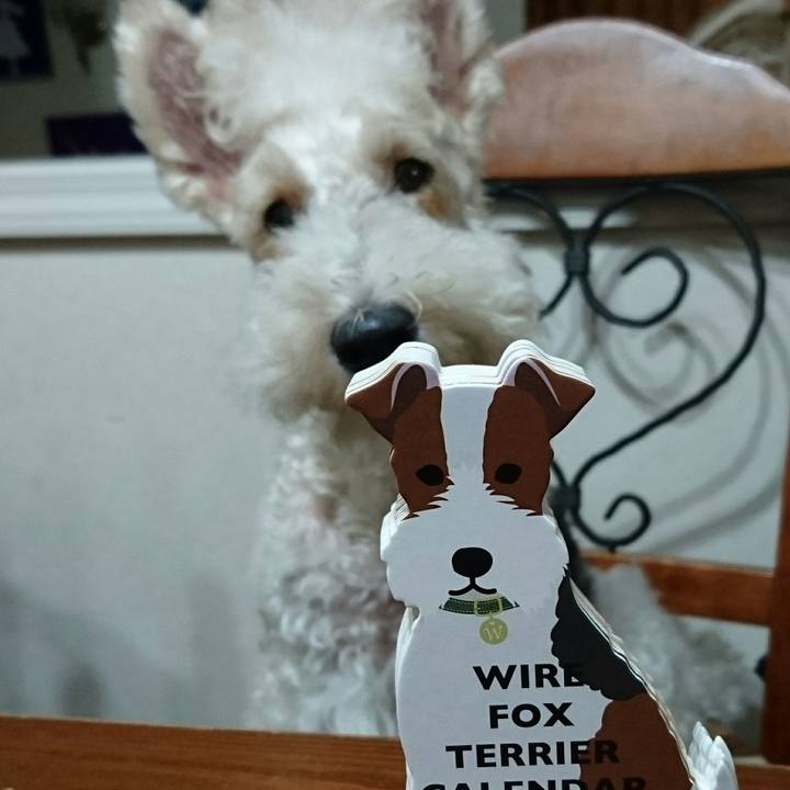 05091d33 ffd6 4ab3 a949 eca85b1f26d0