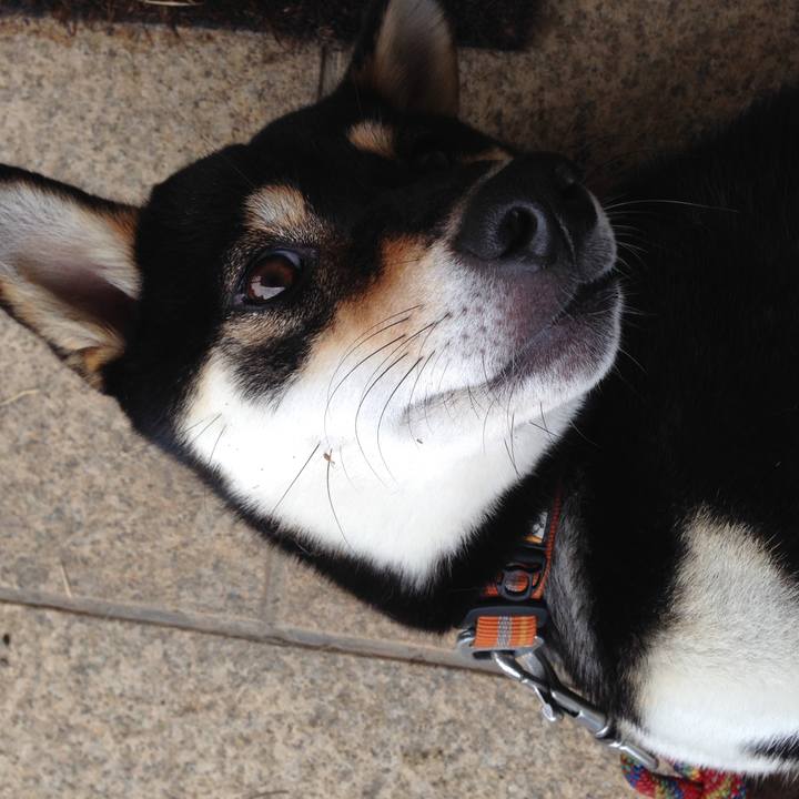 050a1416 a55f 45a7 88ef 8f1804d63a9d