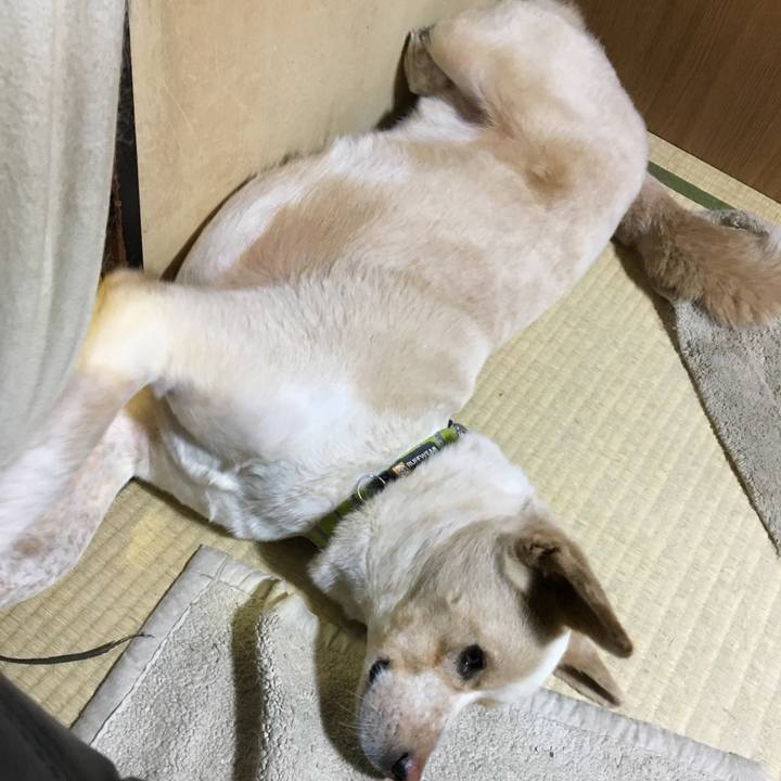 050a265b 575e 4126 8f4a 5d273874c658