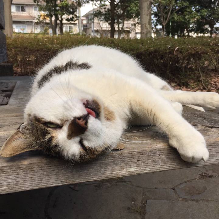 050a2b3a e142 411d b30f 562f12a5dc3c