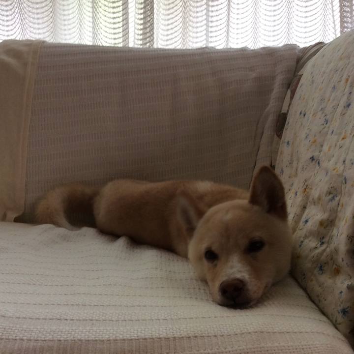 050be9fa b7f1 43ea a2b6 0616bf8e7a74