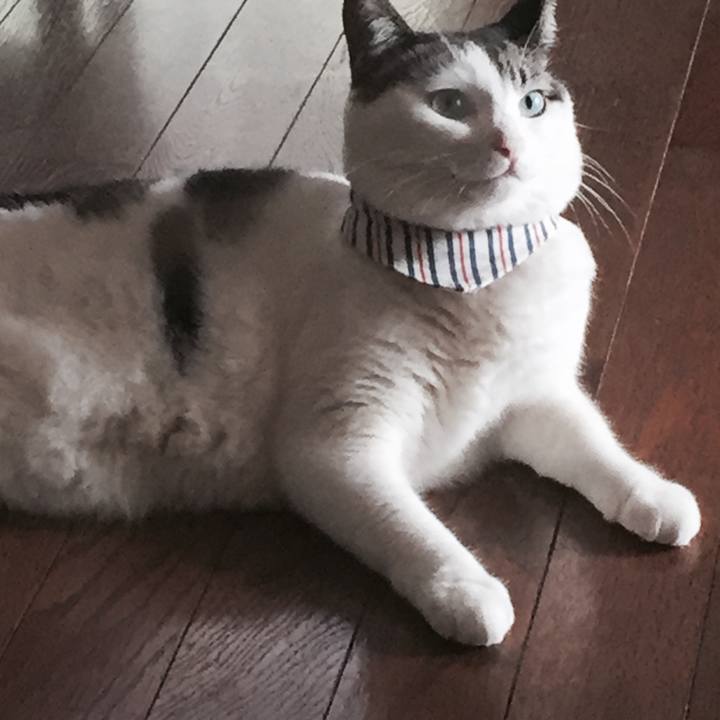 050d0e19 cc0a 40a1 86d1 59ffbdf2f933