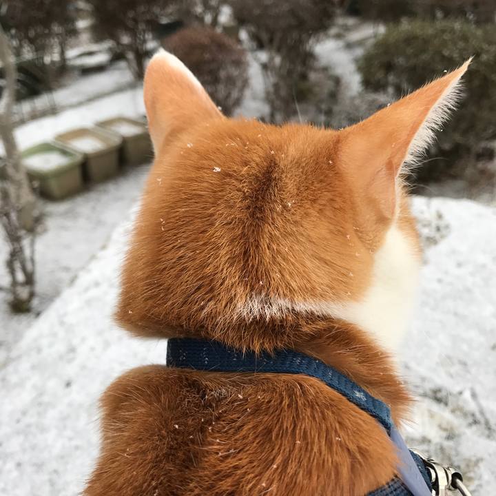 050d2021 354a 4b4a b1cf a8bc09925cf2