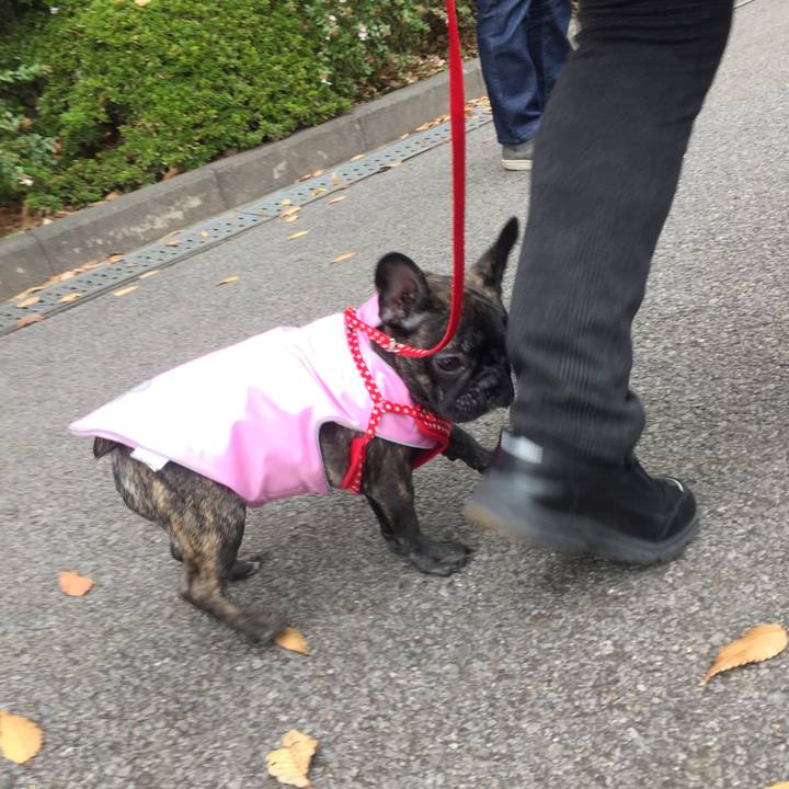 050d3435 ceb9 451c 98c4 5f88c9c176bf