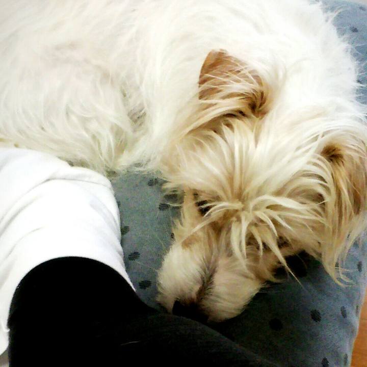 050d4e4d 6275 4226 9bc0 b9a26e39ca91