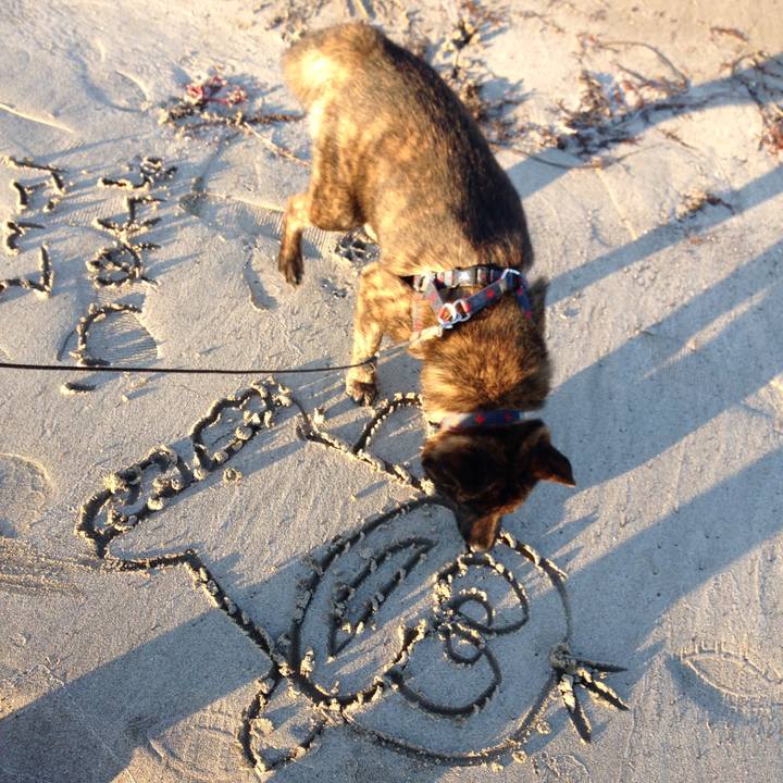 050d6fa4 76cf 4722 844d 6ac7cbf14cce