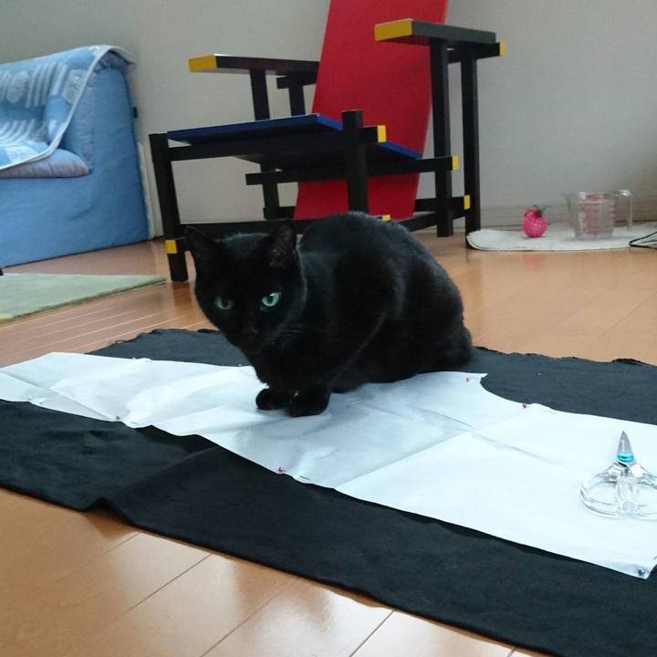 050dd86e de1e 46cb b257 bdd140602052