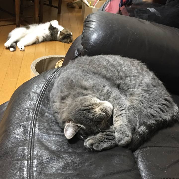 050e2519 d227 403c 92c5 28bfc3fee0fe