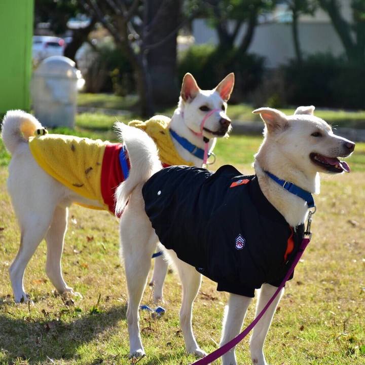 050e6b06 8e4d 4aa2 b275 da6828ac5c5b