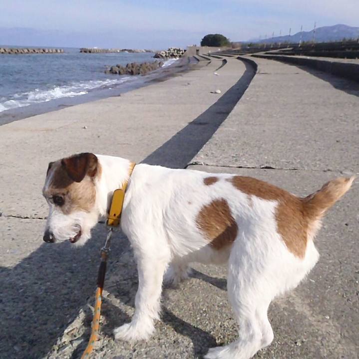 050f4d39 74e7 4aae 899d 36a654130329