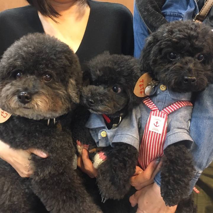 0510947a dbf9 4762 8dcf 609ee6752776