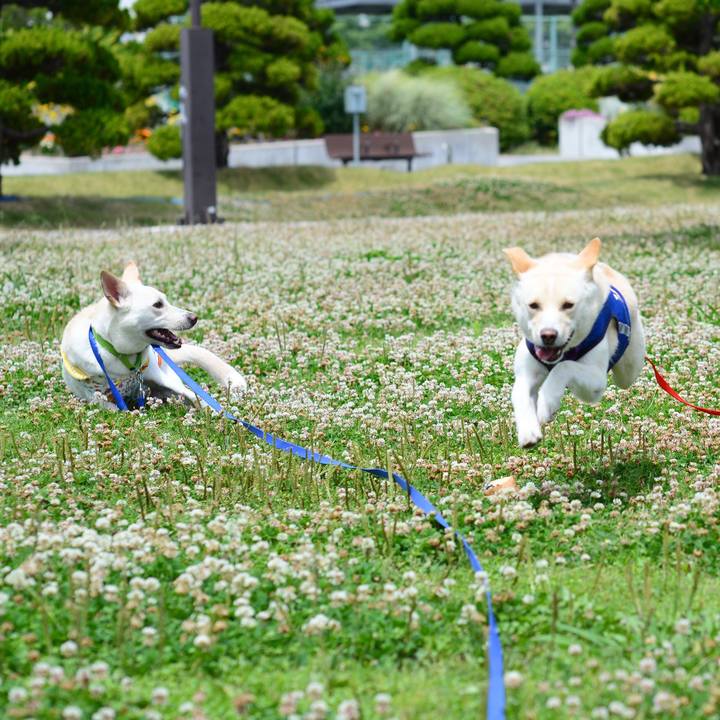 05109fbb 5235 409a 9ae6 32d7eb60fa5e