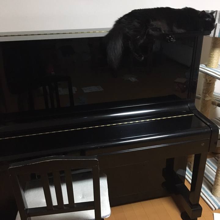 0511a4b2 00cc 4224 8c08 26840876ed23